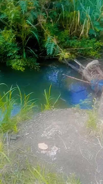 Đất nền Bảo Vinh Long Khánh 14.400m² giá 2.34 tỷ - Sổ đỏ chính chủ, tiện ích xung quanh phong phú!