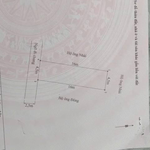 Đất nền 72m² Cát Linh - Tràng Cát giá 2.304 tỷ - Sổ đỏ chính chủ!