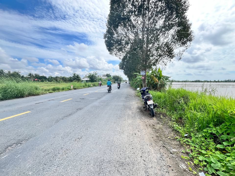 Đất nền Trường Xuân Thới Lai 1950m² giá 3.9 tỷ - Phù hợp kinh doanh