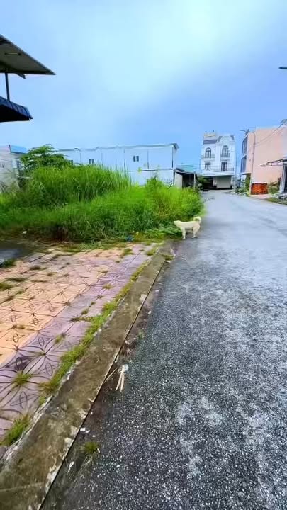 Nhà 1 Trệt 1 Lửng tại Thạnh Hòa, Cần Thơ - Giá đầu tư tốt!