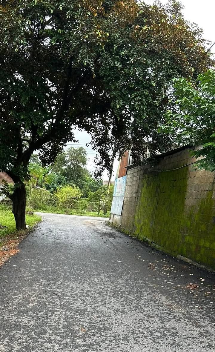 Đất nền Cam Lộ 240m² giá chỉ 1 tỷ - Tặng nhà xây sẵn!