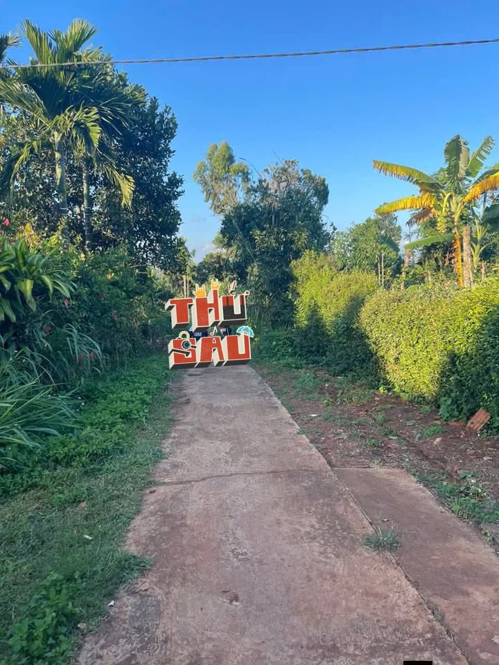 Đất nền Phú Xuân 1000m² giá 70 triệu - Cơ hội tuyệt vời cho đầu tư!