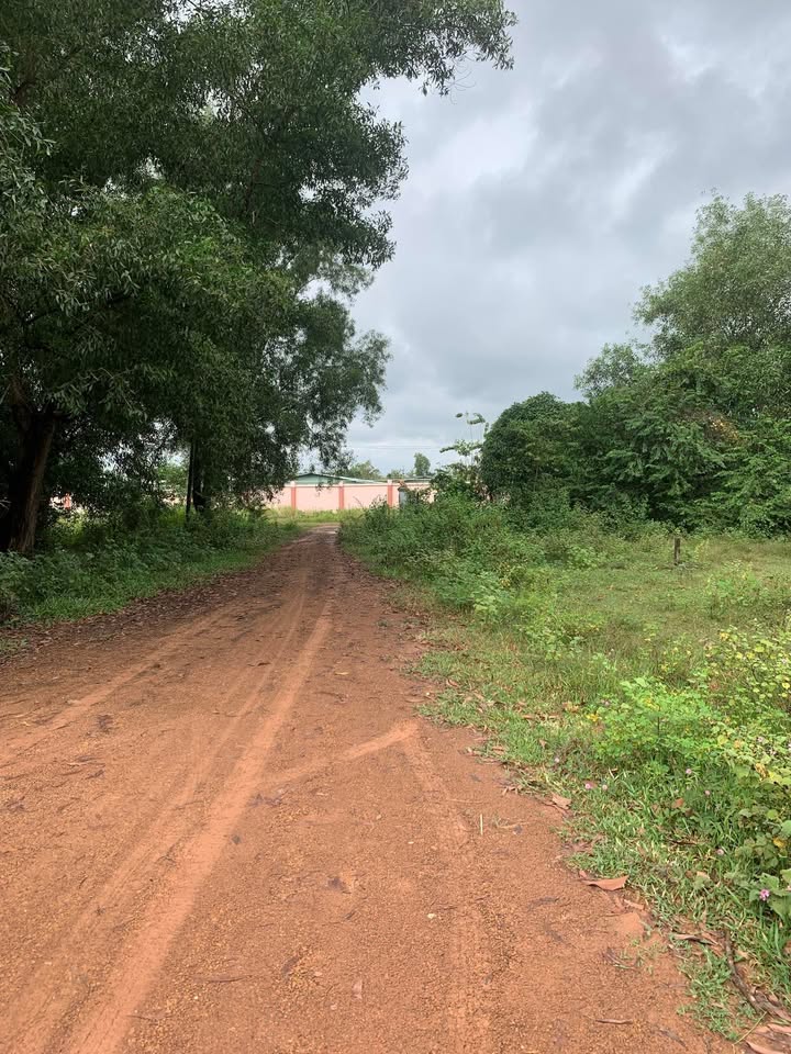 Đất nền Dầu Tiếng 260m² giá 1 tỷ - Tiềm năng phát triển vượt bậc!