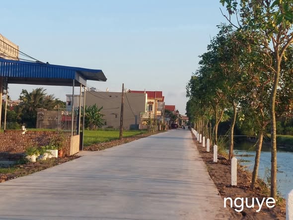 Đất thổ cư Trực Cường Trực Ninh 120m² giá 1.19 tỷ - Đầu tư sinh lời!