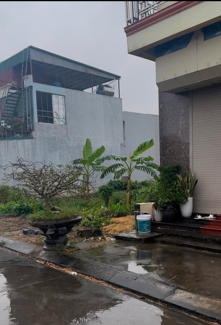 Đất nền Khánh Nhạc Yên Khánh 96m² - Vị trí đắc địa gần đường vành đai!