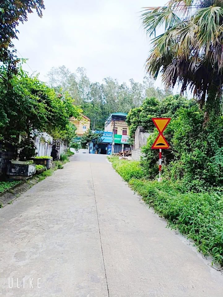 Đất nền Yên Sơn Tam Điệp 124.78m² giá 1.2 tỷ - Cơ hội đầu tư tuyệt vời!