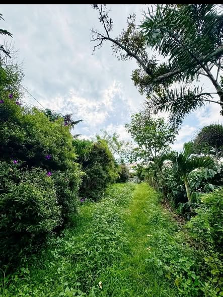 Đất nông nghiệp Lạc Long Quân 2650m² giá chỉ 3 tỷ - Cơ hội đầu tư hấp dẫn!