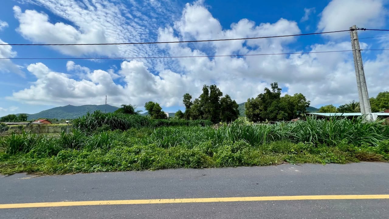 Đất nền Phước Hải, Long Điền 1473m² giá 4.5 tỷ - Đầu tư sinh lời ngay!