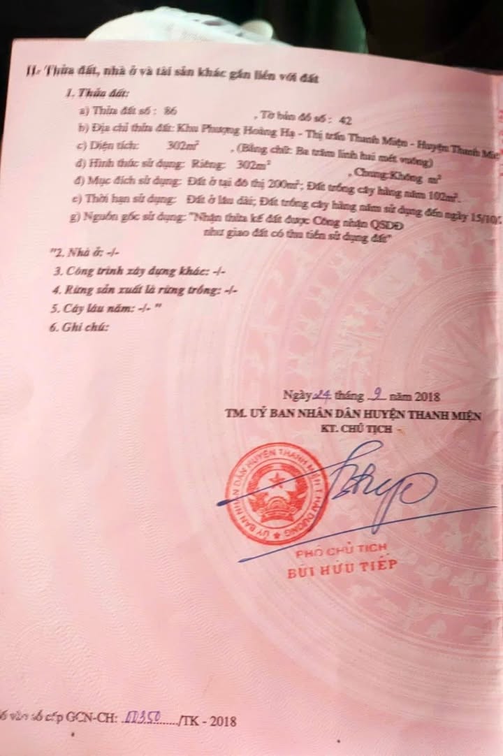 Đất nền đẹp tại Phượng Hoàng Hạ, Thanh Miện 302m² - Giá đầu tư hấp dẫn!