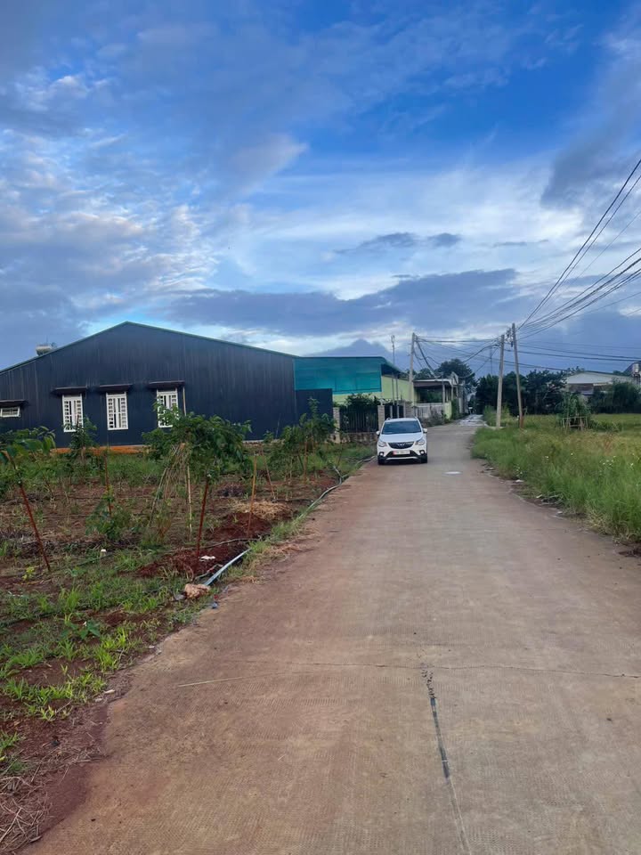 Đất thổ cư 120m² tại Phú Thạnh, Đức Trọng - Giá chỉ 1.2 tỷ!