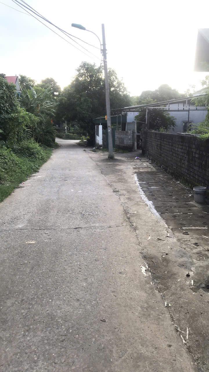 Đất nền phường Thông Nhất, TP Hòa Bình 667m² giá chỉ 4.335 tỷ - An cư lý tưởng!