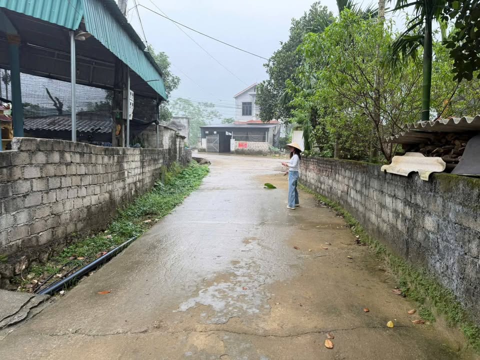 Đất nền Liên Sơn, Lương Sơn, Hòa Bình 445m² giá 1.88 tỷ - Đầu tư sinh lời tốt!