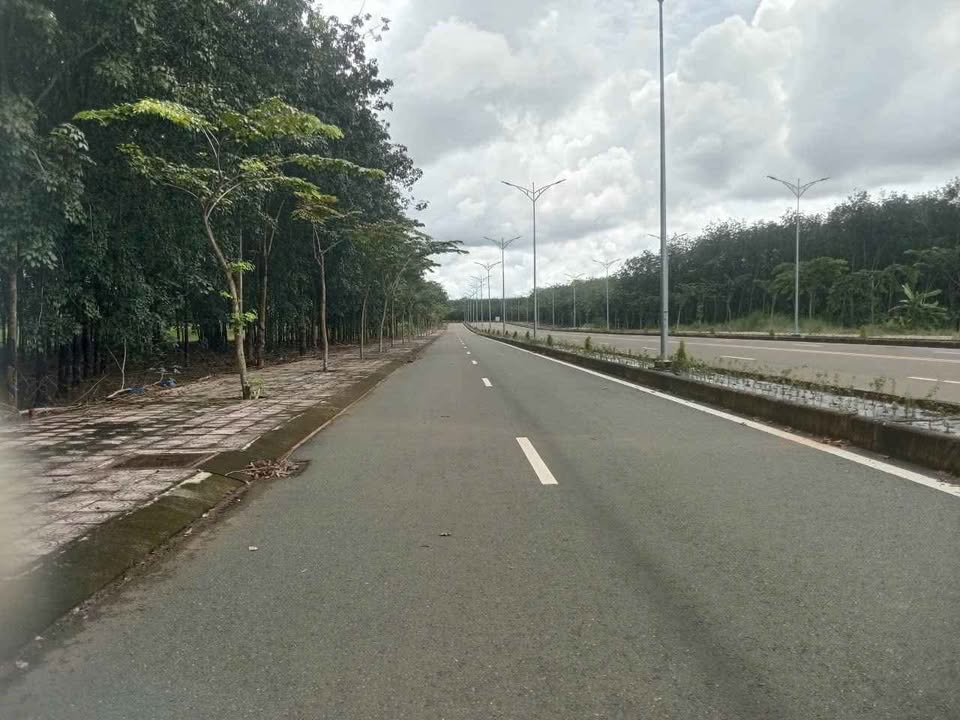 Đất nền mặt tiền đường Tuyến 3, Đồng Phú, Bình Phước 500m² giá 2 tỷ - Cơ hội đầu tư sinh lời!