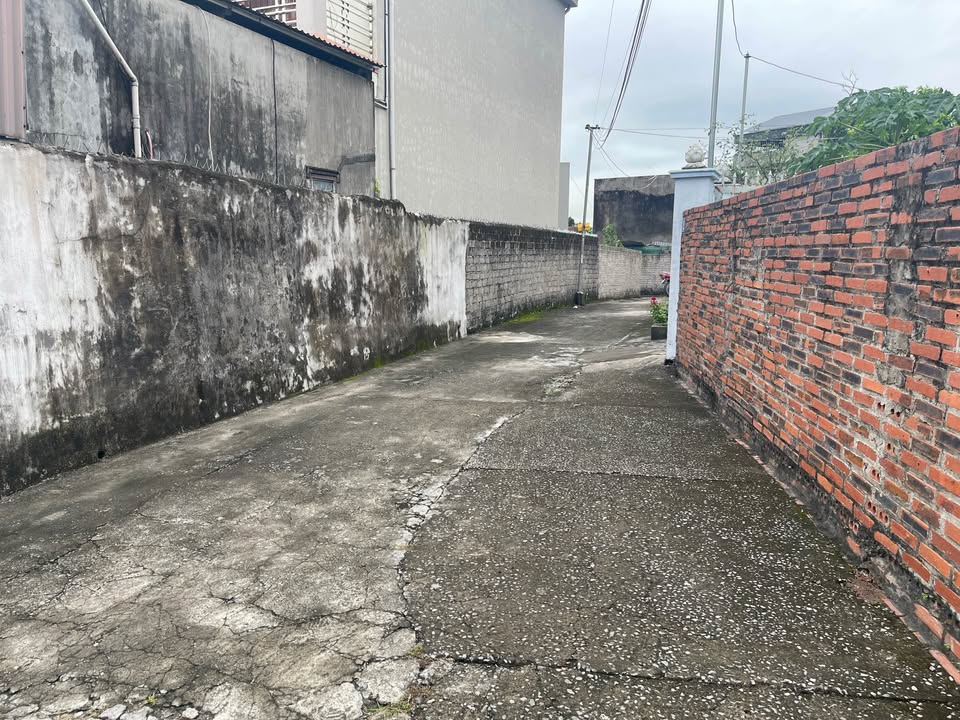 Đất dân cư Cẩm Thịnh 321m² giá chỉ 1,xx tỷ - Đầu tư sinh lời ngay!