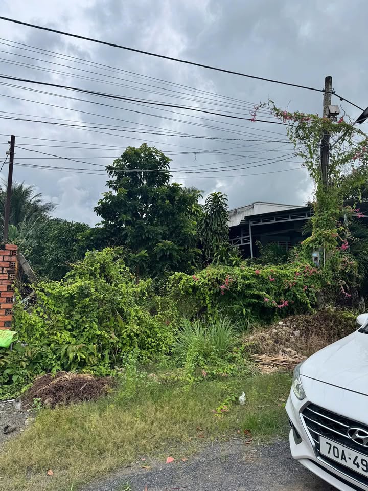 Đất hẻm Nguyễn Văn Linh, Long Hoa, Tây Ninh 205m² giá 1.209 tỷ - Cơ hội đầu tư tốt!