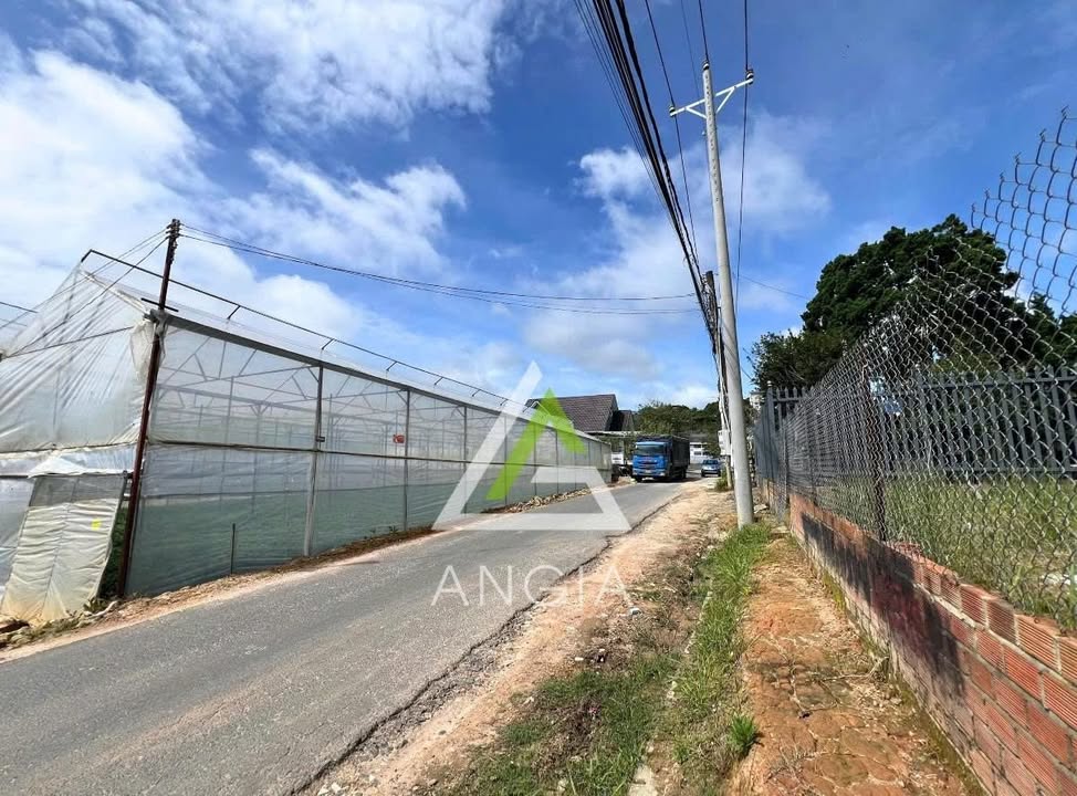 Đất nền Trịnh Hoài Đức Đà Lạt 226m² giá 7.5 tỷ - Pháp lý rõ ràng, xây dựng tự do!