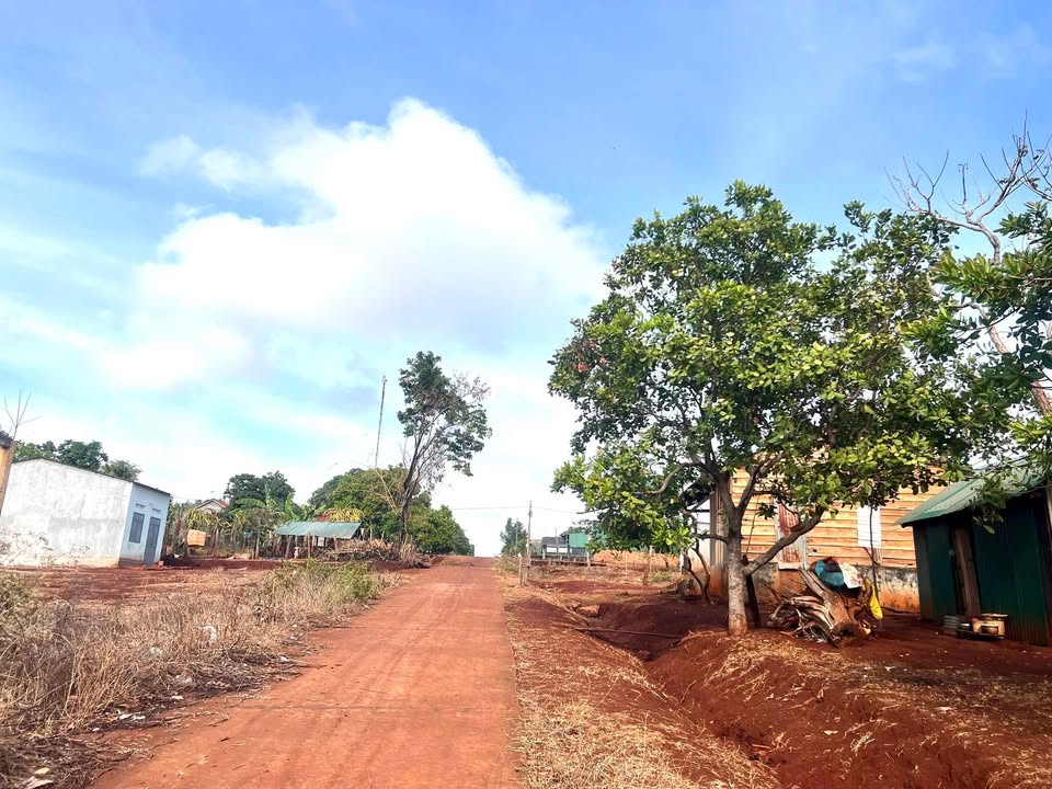 Đất nền Iapnon, Đức Cơ 190m² giá chỉ 100 triệu - Cơ hội đầu tư hấp dẫn!