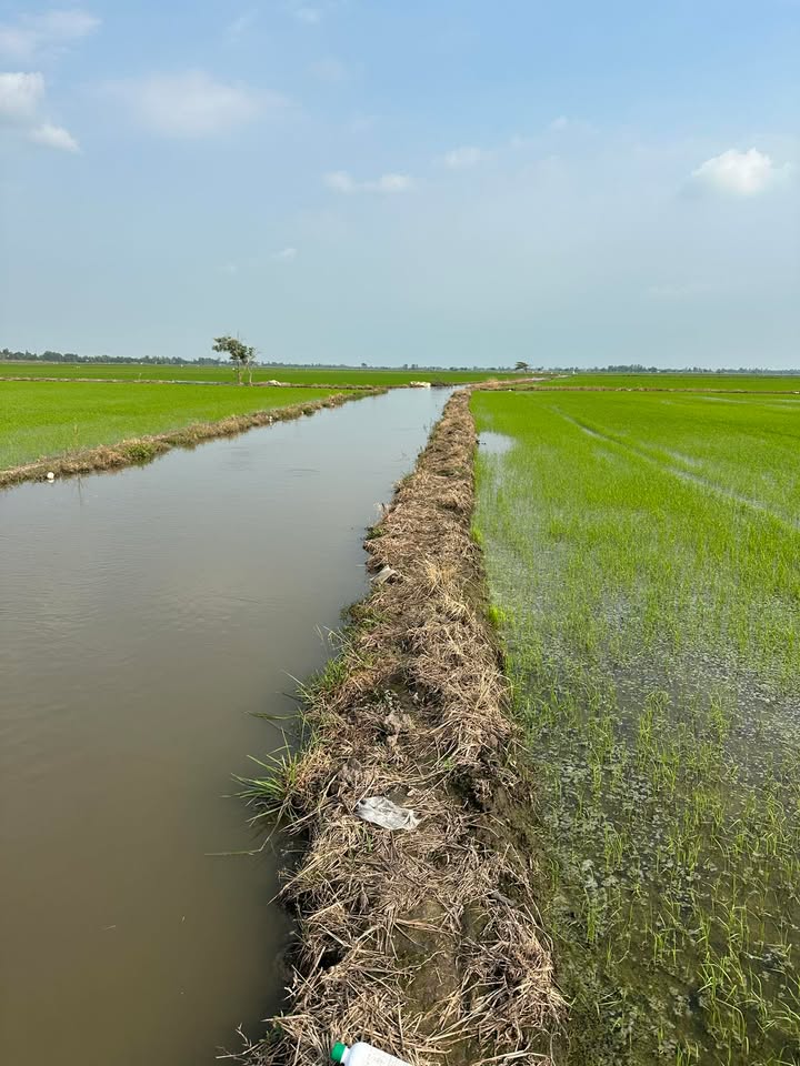 Đất nông nghiệp 21 công tại Tân Công Chí, Đồng Tháp - Giá chỉ 19.846 tỷ!