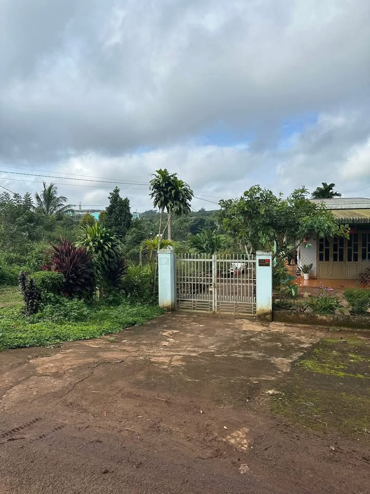 FrontHouse mặt tiền Âu Cơ, Buôn Hồ 250m² giá 1.619 tỷ - Đầu tư sinh lời ngay!