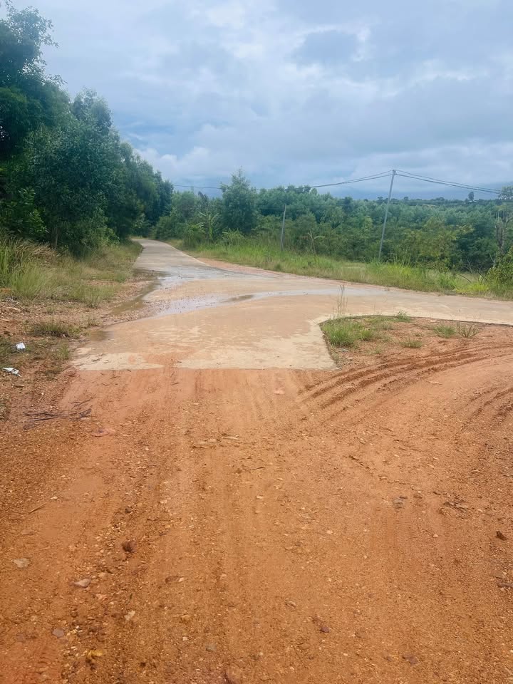 Đất Farm 5.000m² Thôn Suối Cát, Giá 1 Tỷ - Đầu Tư Sinh Lời Ngay!