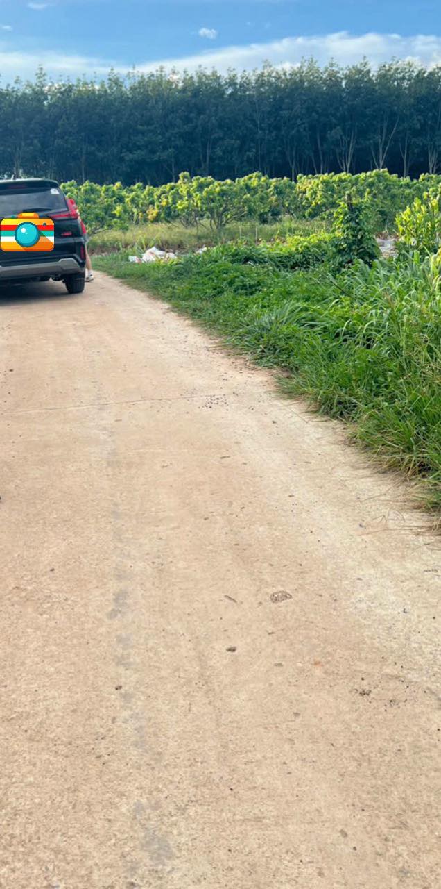 Đất thổ cư thôn 9, xã Ea Păl 282m² giá 168 triệu - Cơ hội đầu tư tuyệt vời!