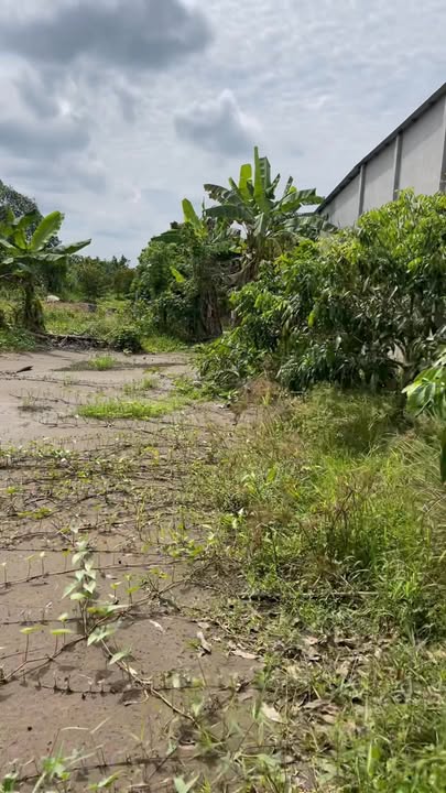 Đất nền Nhơn Nghĩa, Phong Điền 264m² giá 985 triệu - Không khí trong lành, dân cư đông đúc!