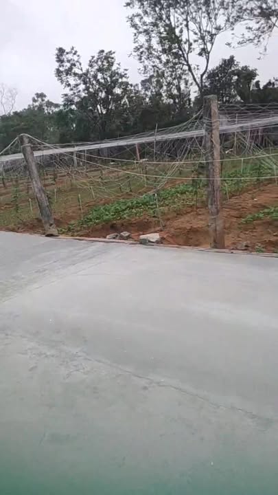 Đất nền Quỳnh Liên 144m² - Chính chủ, giá thỏa thuận hấp dẫn!