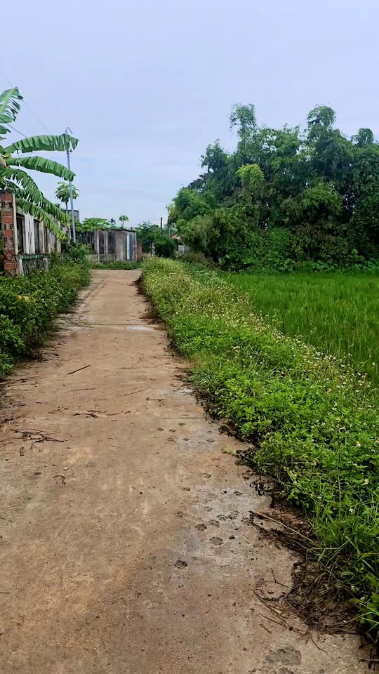 Lô đất Phước Quang Tuy Phước 80m² - Giá thương lượng hấp dẫn!