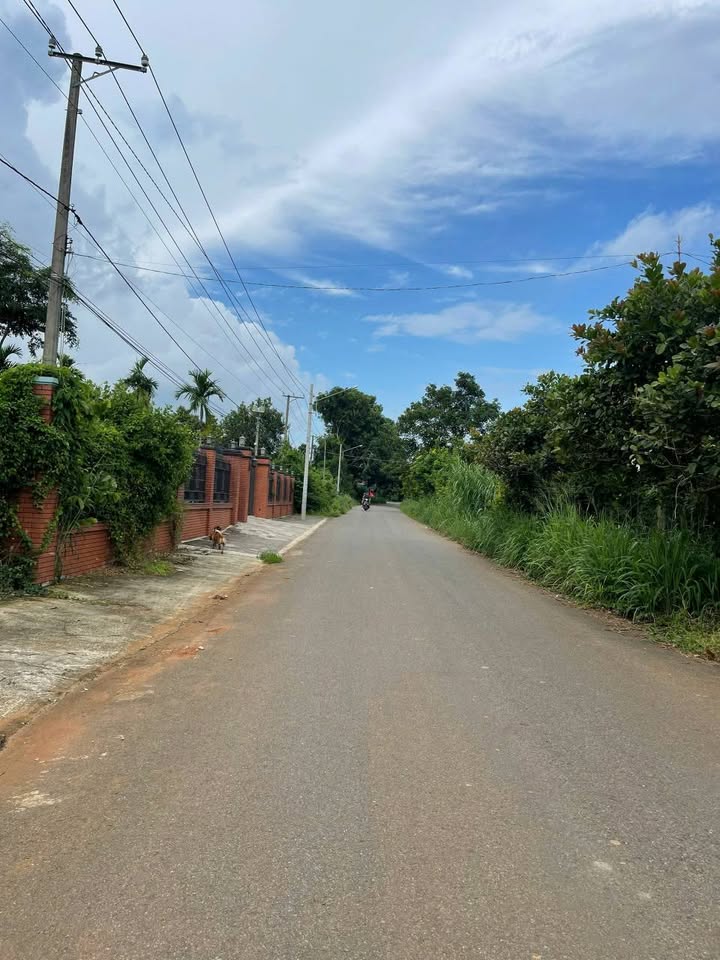 Nhà vườn mặt tiền đường nhựa Hòa Long, Bà Rịa 444m² giá 3.3 tỷ - Thương lượng ngay!