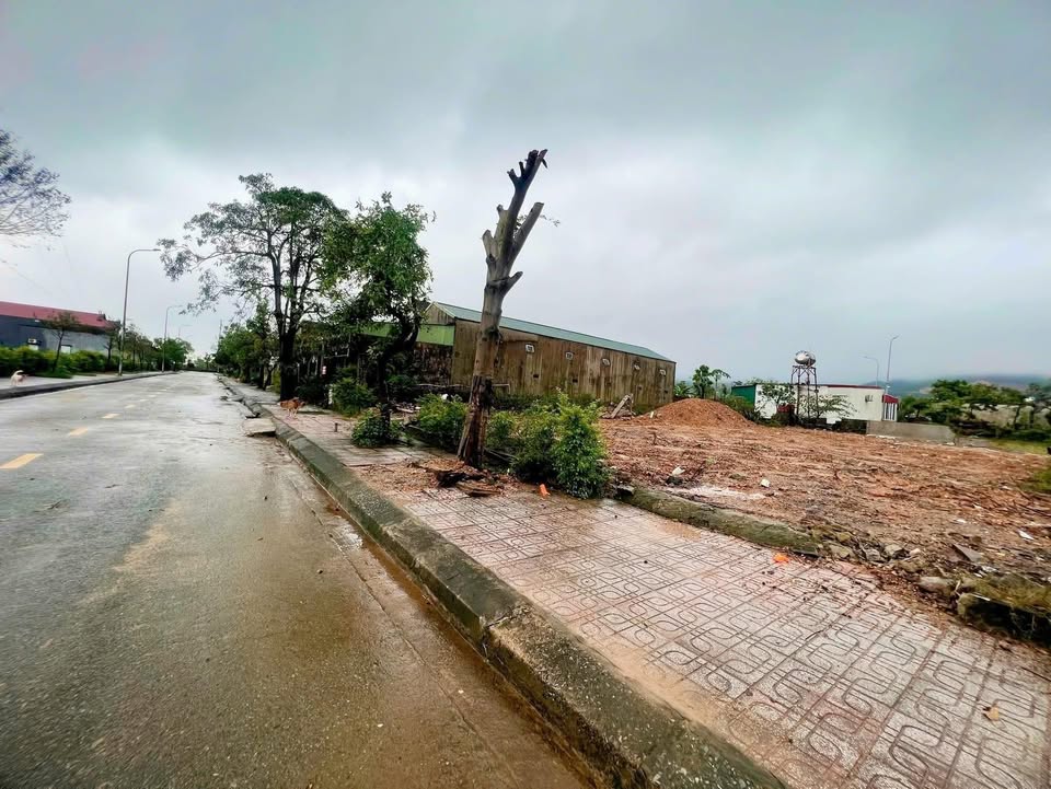 Đất Tái Định Cư Kỳ Liên, Hoành Sơn 292m² - Vị trí đắc địa, giá tốt!