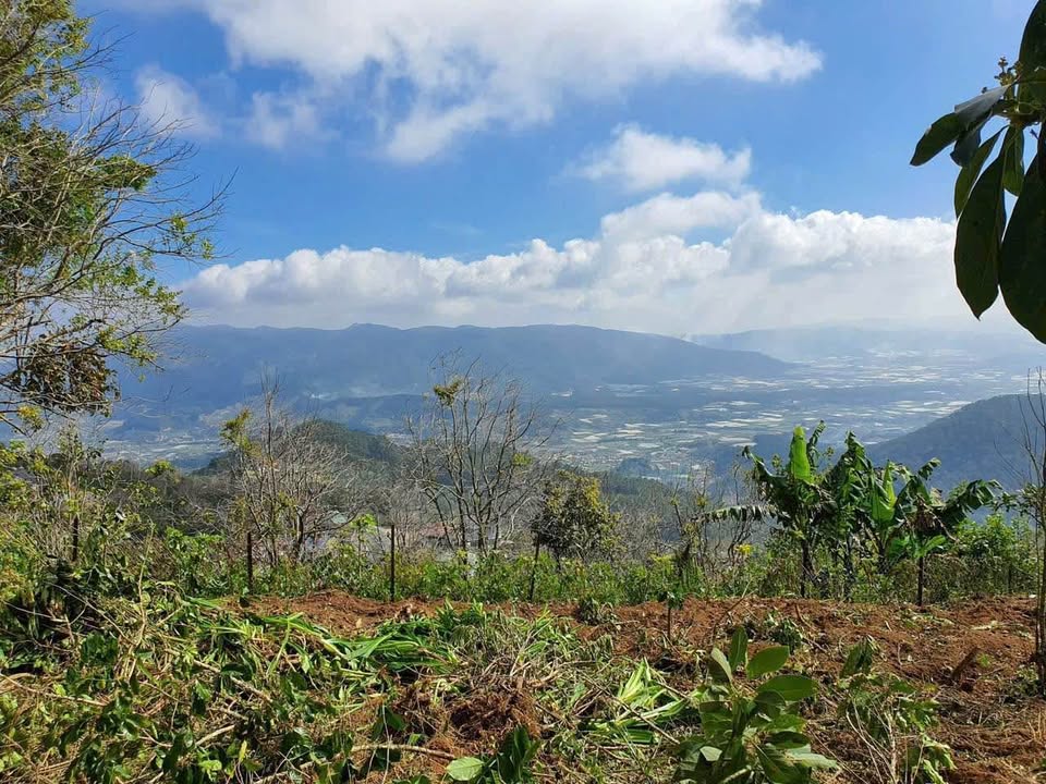 Đất nền Trạm Hành Đà Lạt 1030m² giá 8.7 tỷ - View săn mây tuyệt đẹp!