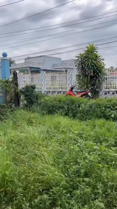 Nhà cấp 4 189.6m² Tân Tây, Gò Công Đông - Giá chỉ 650 triệu!