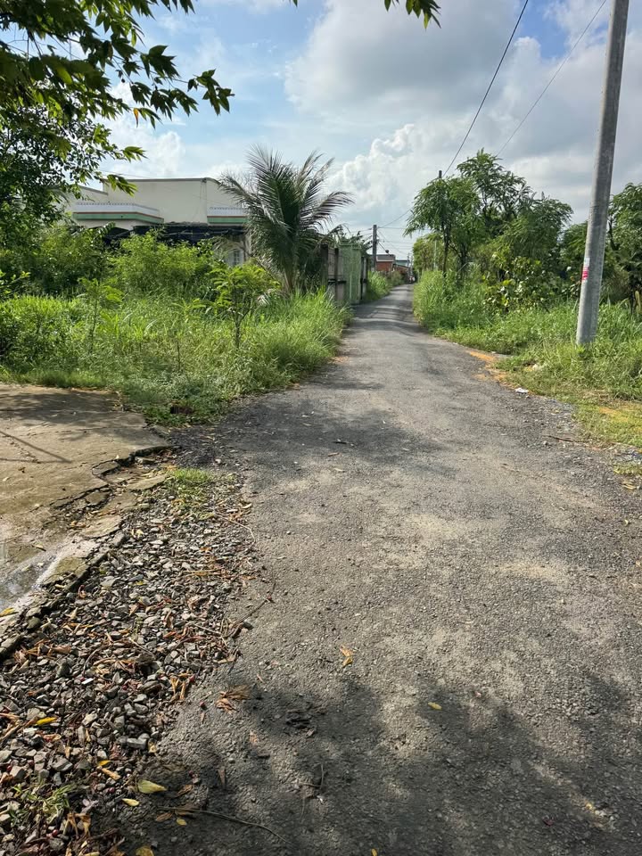 Đất nền ấp Ruộng Cạn, xã Bình Nghị, 500m² giá 440 triệu - Đầu tư sinh lời hấp dẫn!