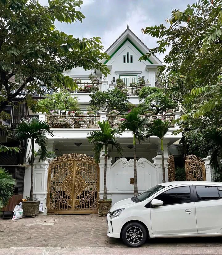 Biệt thự Louis City Đại Mỗ 180m² giá 30 tỷ - Gần mặt phố, Ô tô tránh nhau thoải mái!