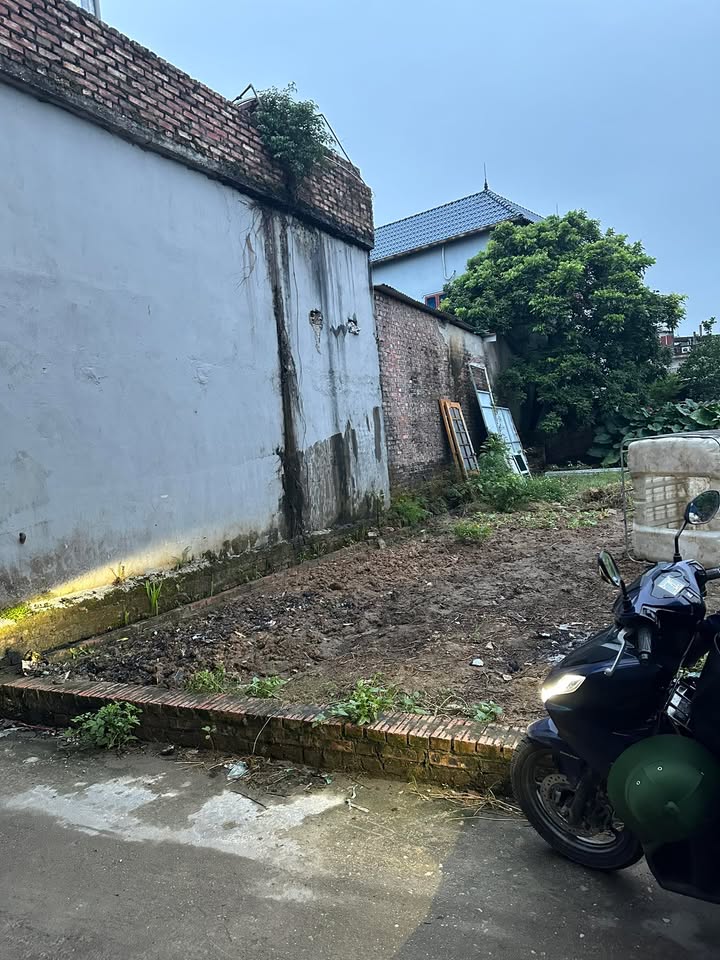 Đất nền phường Ninh Xá, Thuận Thành, Bắc Ninh 79m² giá 1.3 tỷ - Cơ hội đầu tư tuyệt vời!