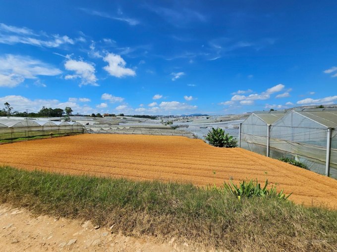 Bán đất đường Nguyên Tử Lực, Đà Lạt 1.132m² - Sổ hồng đầy đủ, giá tốt!