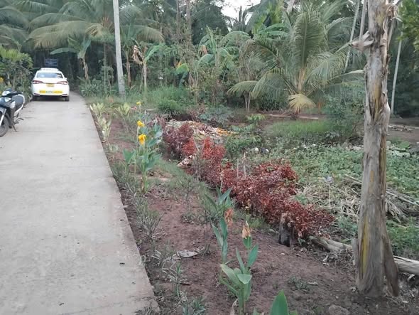 Đất thổ cư Sơn Phú - Giồng Trôm 1200m² giá 550 triệu - Cơ hội đầu tư tuyệt vời!