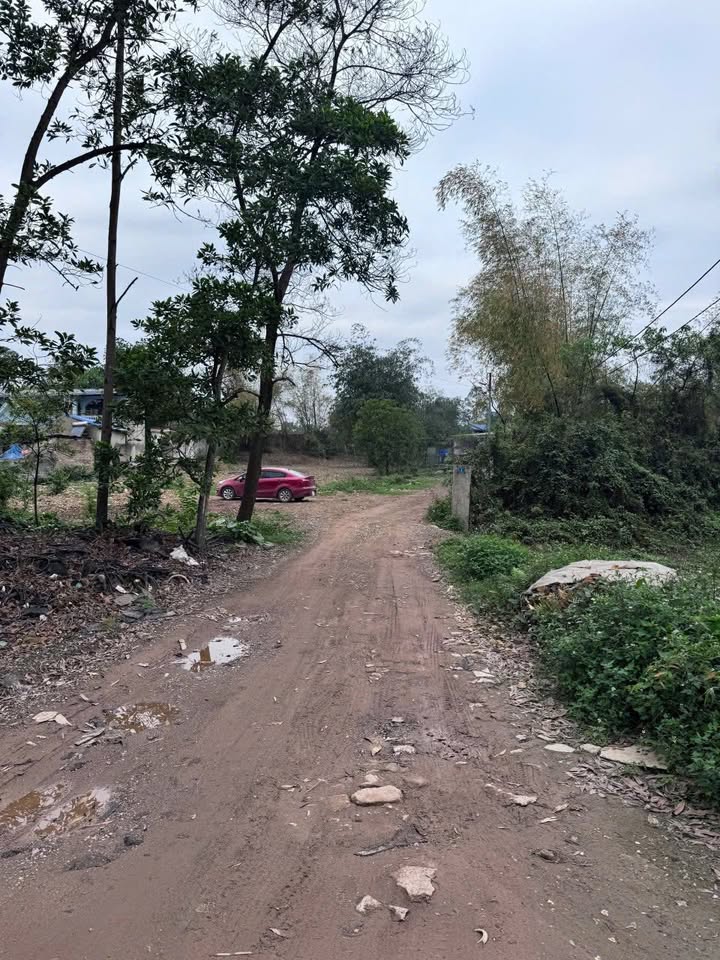 Đất nền 1000m² Phường Bách Quang, Thái Nguyên - Giá chỉ 1 tỷ VND, vị trí đẹp!