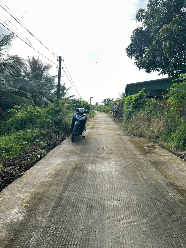 Đất vườn 2300m² ấp 4 Vĩnh Công, Châu Thành, Long An - Đầu tư lý tưởng!