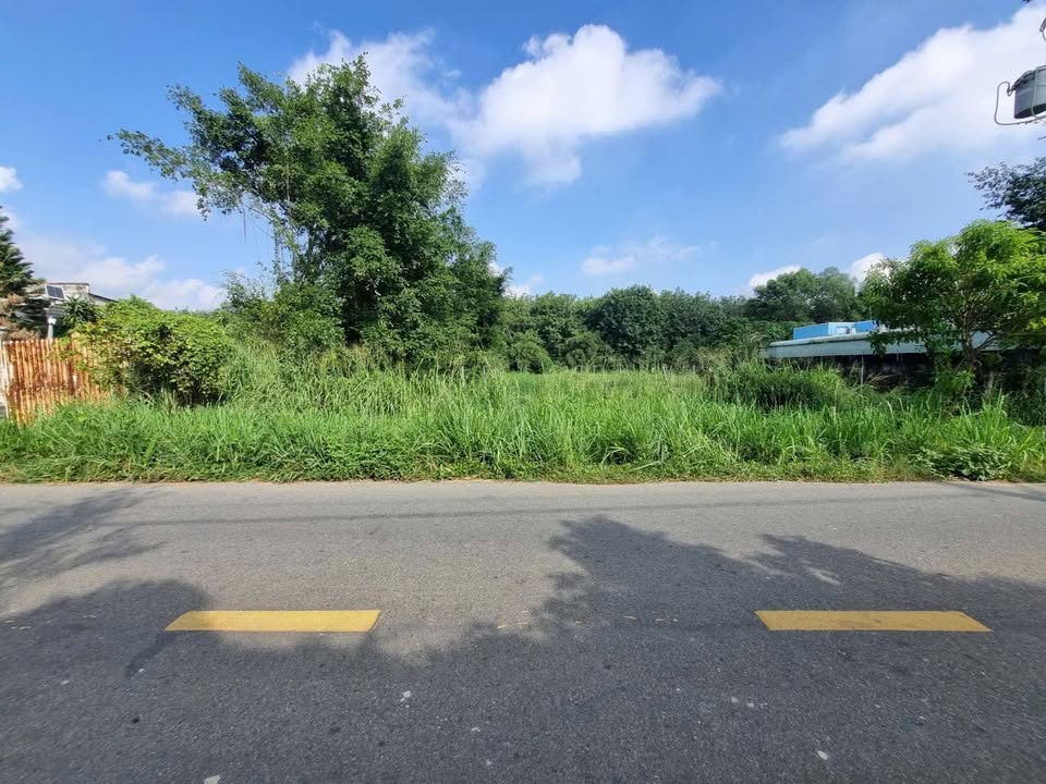 Đất mặt tiền Bến Súc, An Nhơn Tây, 1717m² chỉ 11.2 tỷ - Pháp lý rõ ràng!