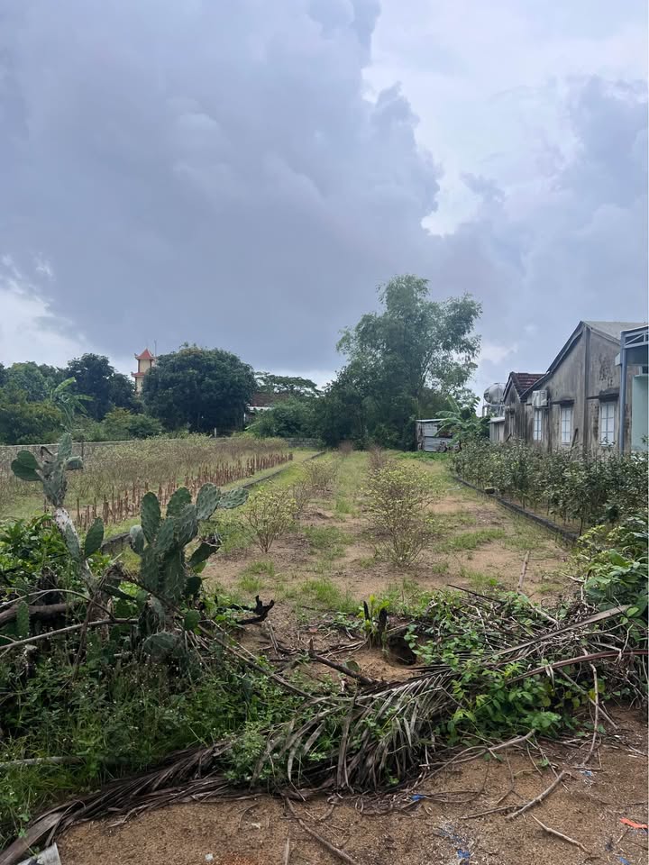 Đất Tân Khai - Điện Dương 185m² giá 1.665 tỷ - Cơ hội đầu tư tiềm năng!