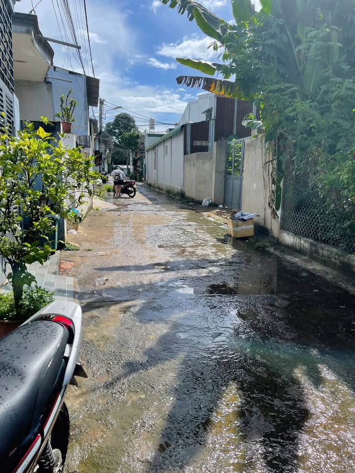 Đất nền hẻm 81 YNikSOR, Buôn Ma Thuột 140m² giá 2.39 tỷ - Tiềm năng đầu tư lớn!