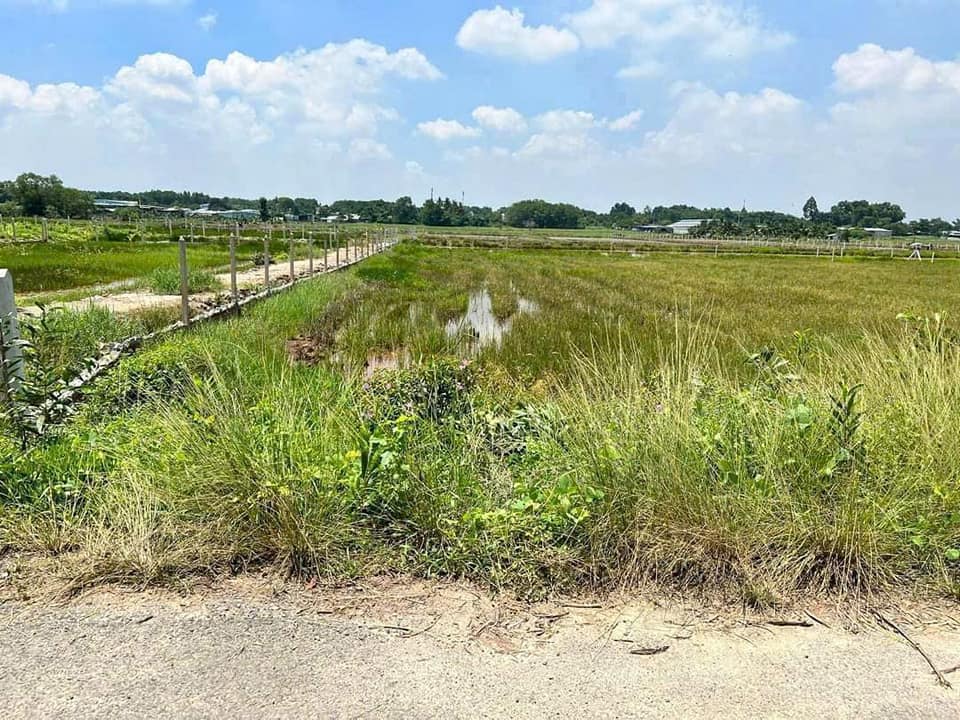 Đất mặt tiền Bưng Tràm, Củ Chi 650m² giá 1.33 tỷ - Vị trí đẹp, giao thông thuận lợi!