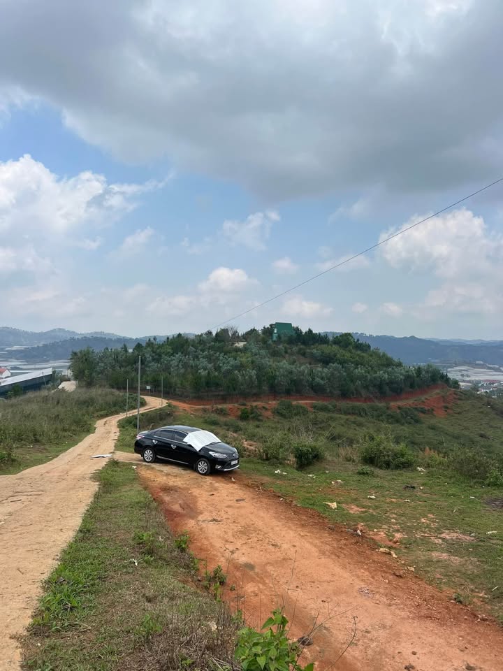 Đất nền Lạc Dương 526m² giá 1.65 tỷ - View đẹp thoáng đãng!