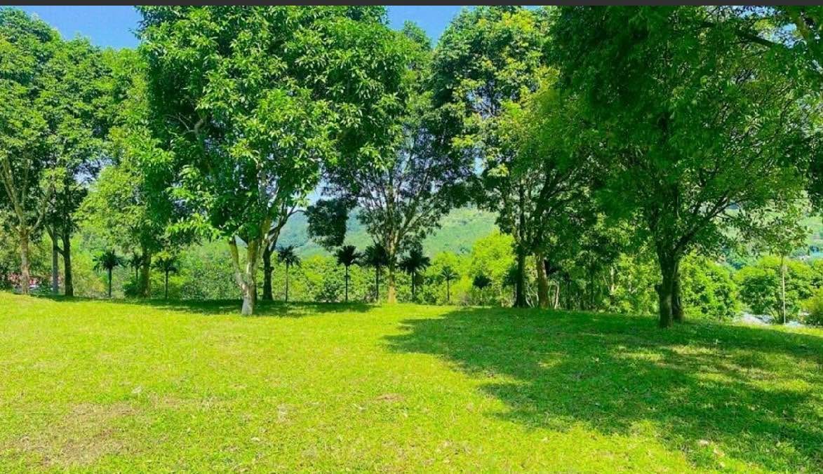 Lô đất phong thủy 19.000m² tại Tân Thành, Lương Sơn, Hòa Bình - Cơ hội vàng đầu tư!