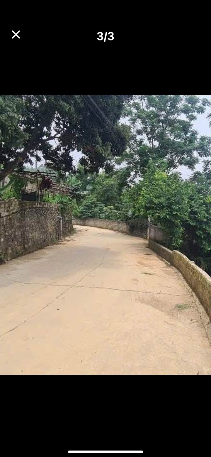 Đất nền Cư Yên Lương Sơn 228m² giá 1.1 tỷ - Đầu tư lý tưởng!