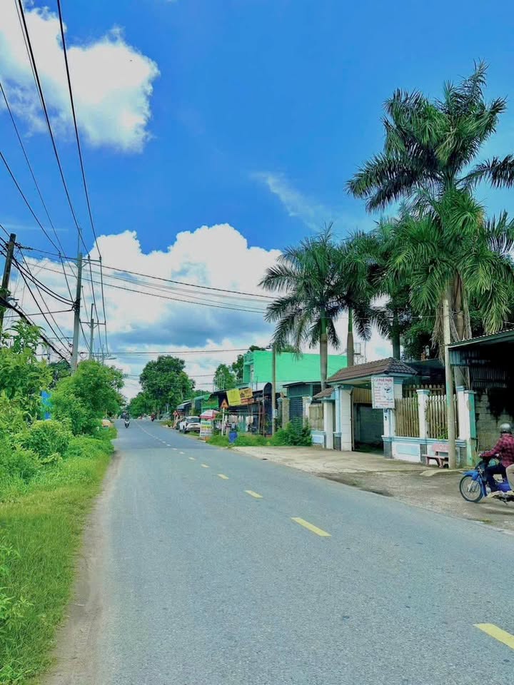 Đất nền Tân Thông Hội - Củ Chi 617m² giá 11.5 tỷ - Vị trí đẹp, thuận lợi kinh doanh!