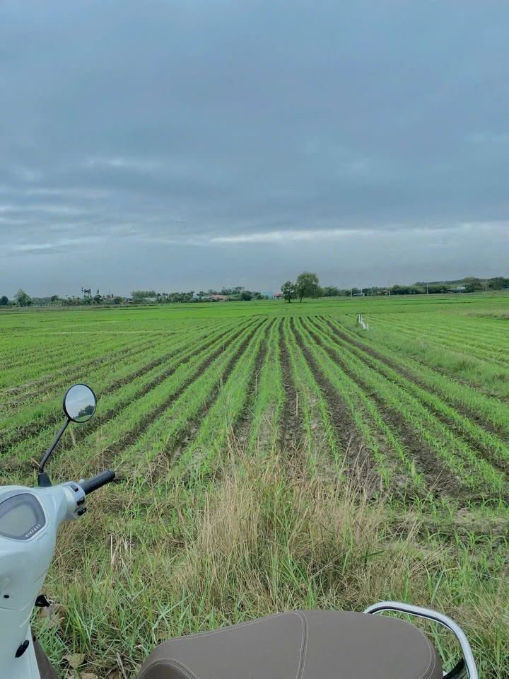 Đất nền Phước Thạnh, Củ Chi 880m² giá 2,65 tỷ - Pháp lý rõ ràng, đầu tư sinh lời!