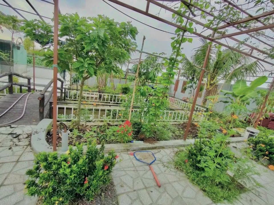 Đất nền Bình Mỹ, Củ Chi 500m² giá 3.5 tỷ - Khu vườn cây ăn trái tuyệt đẹp!