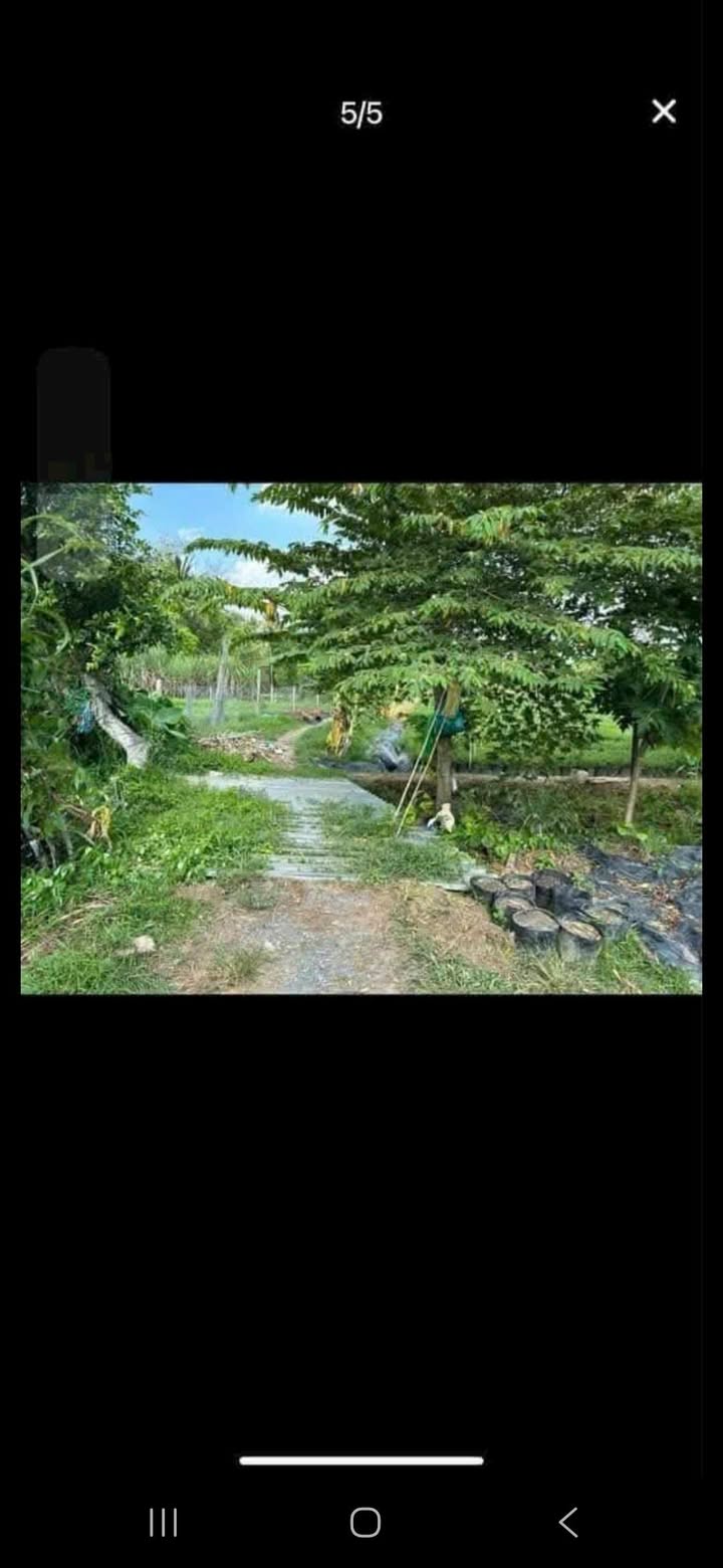 Đất nền Thới An Đông, Bình Thủy 150m² giá 430 triệu - Chính chủ cần bán gấp!